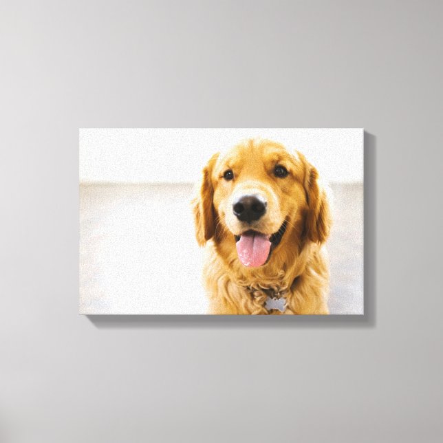 Lienzo Golden Retriever Sonriendo (Anverso)