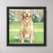 Golden Retriever y Hortensias Azules
