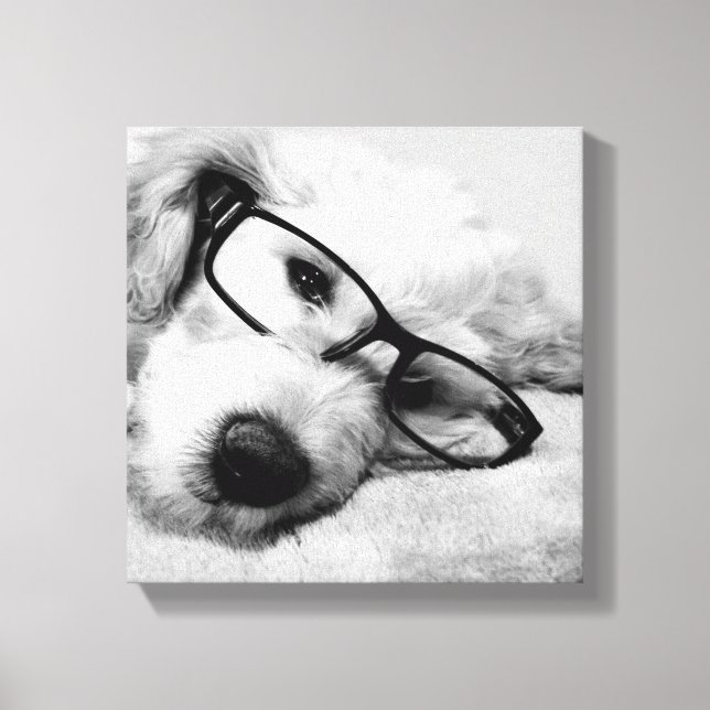 Lienzo Goldendoodle Con Gafas (Anverso)
