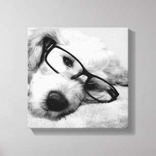 Lienzo Goldendoodle con vidrio