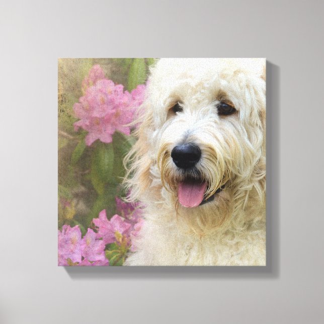 Lienzo goldendoodle en hidrangea (Anverso)
