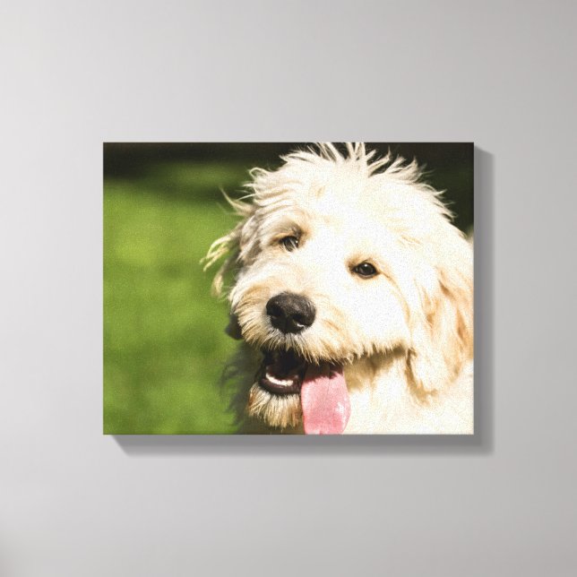 Lienzo Goldendoodle Puppy Panting (Anverso)
