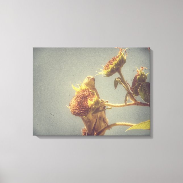 Lienzo Goldfinch Grunge