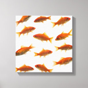Lienzo Goldfish