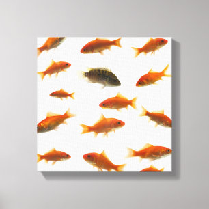 Lienzo Goldfish 4