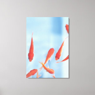 Lienzo Goldfish 6
