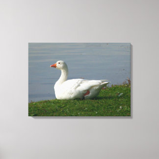 Lienzo Goose