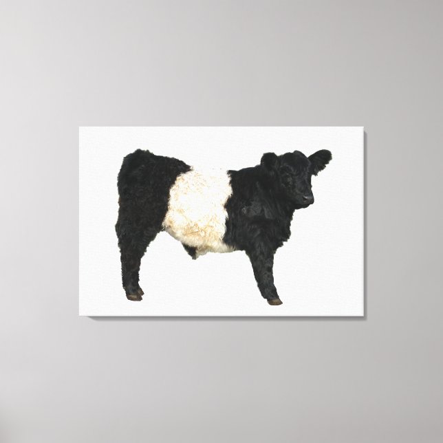 Lienzo Gorgeous Belted Galloway Steer Cutout Beltie Gift  (Anverso)