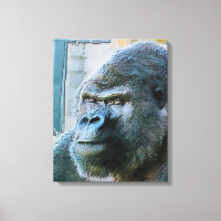 GORILLAS