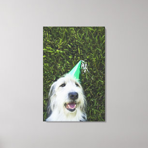 Lienzo Gorra de perros con fiesta