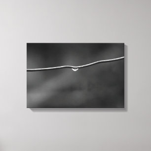 Lienzo Gotas de agua en el cable