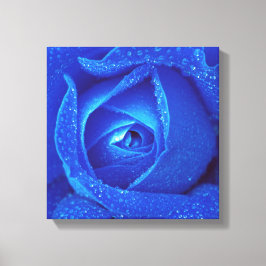 Lienzo Gotas De Lluvia En Un Rosa Azul