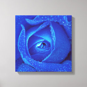 Lienzo Gotas De Lluvia En Un Rosa Azul