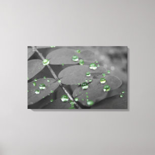 Lienzo Gotas de lluvia esmeralda