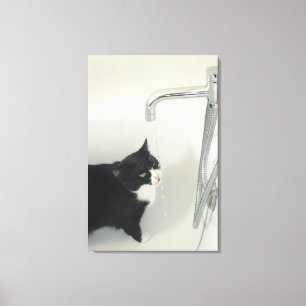 Lienzo Goteo del agua potable del gato de un golpecito