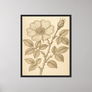 Lienzo Grabado de flores botánicas vintage