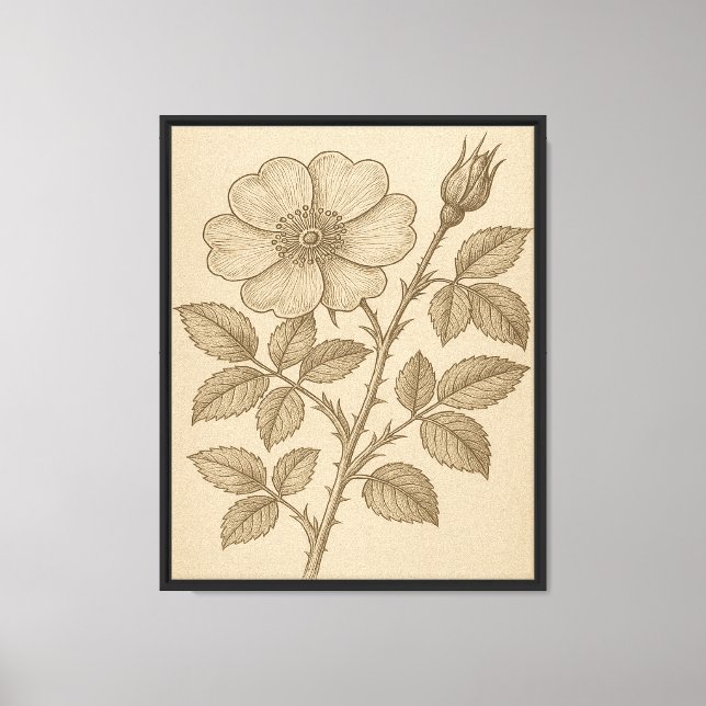 Lienzo Grabado de flores botánicas vintage (Anverso)