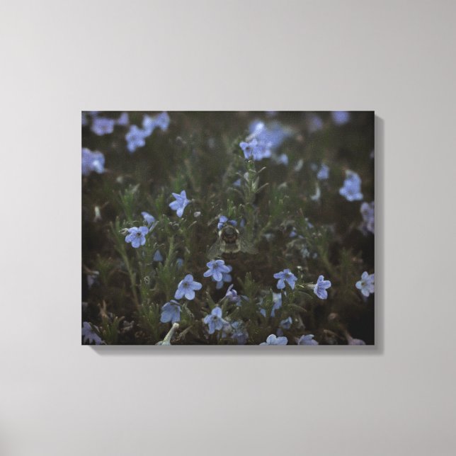 Lienzo Grace for Bees (Anverso)