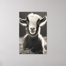 Graceus Monocromatic Expressive Baby Portra