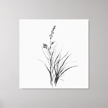 Graceus Monocromo Detallado Dibujo De Dibujo De Lá