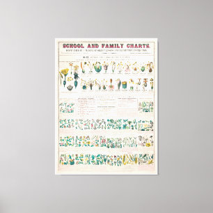 Lienzo Gráfico botánico vintage: Clasificación de plan