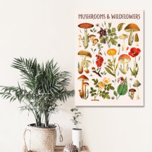 Gráfico de Hongos y Flores Silvestres Vintage