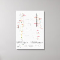 Gráfico de meridianos humanos