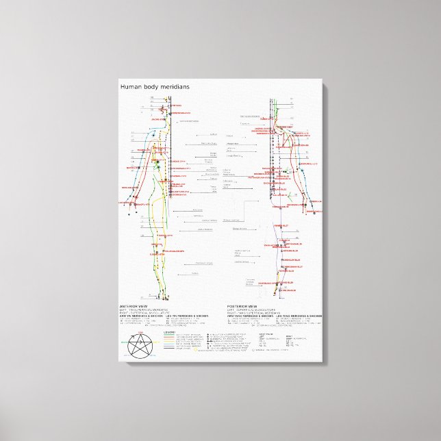 Lienzo Gráfico esquemático Méridianos del Cuerpo Humano C (Anverso)