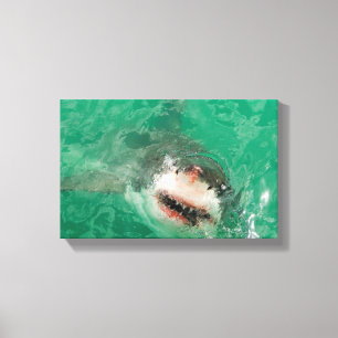 Lienzo Gran blanco Shark1