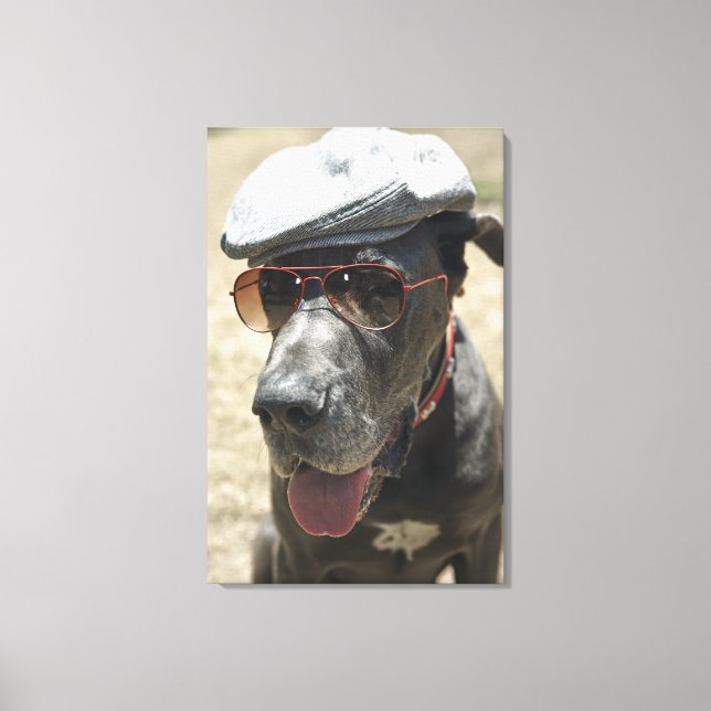 Lienzo Gran danés con gorra y gafas de sol (Anverso)