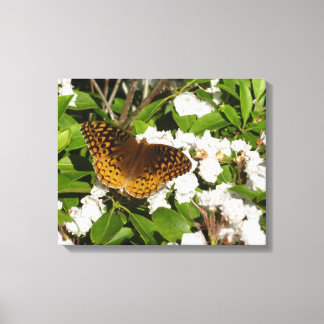 Lienzo Gran Fritillary Manchado en Laurel de Montaña