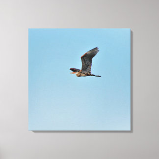 Lienzo Gran garza azul