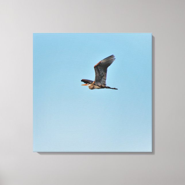 Lienzo Gran garza azul (Anverso)