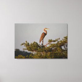 Lienzo Gran garza azul en la parte superior del árbol