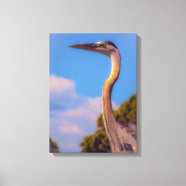 Lienzo Gran garza azul, mirando el atardecer (Anverso)