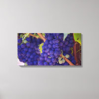 Gran manada de uvas jugosas púrpura