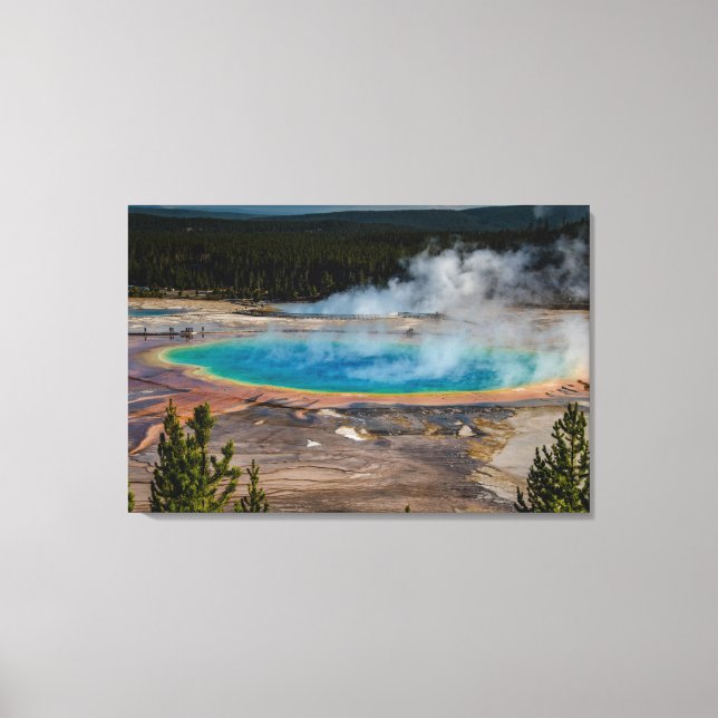 Lienzo Gran Primavera Primaria Yellowstone (Anverso)