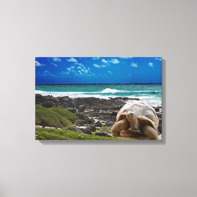 Lienzo Gran tortuga en la orilla del mar (Anverso)