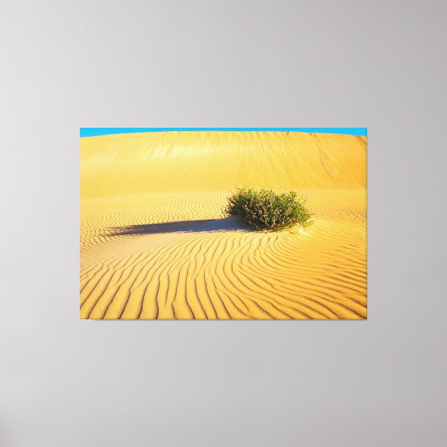 Lienzo GRANDES DUNAS DEL OCÉANO 40x60 (Anverso)