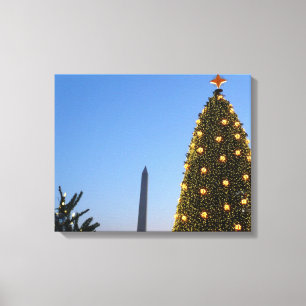Lienzo Grandes y pequeños árboles de Navidad en DC