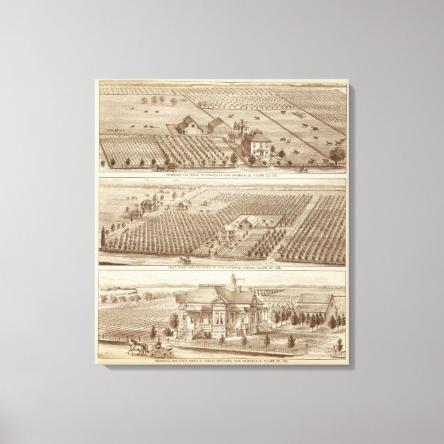 Lienzo Grangeville, ranchos de Armona (Anverso)