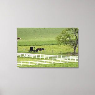 Lienzo granja Amish con caballo y carruaje cerca de Berlí