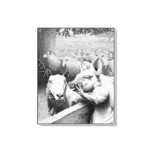 Granja animal - Esquealer