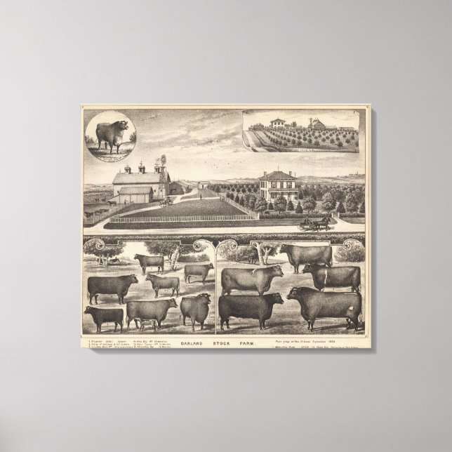 Lienzo Granja de Oakland Stock Farm, Kansas (Anverso)