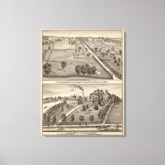 Lienzo Granja de pradera de Simmon, cura de agua de Kenos (Anverso)