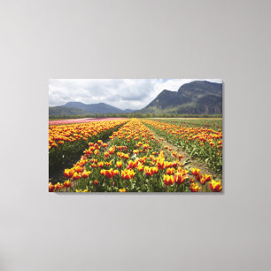 Lienzo Granja de tulipanes cerca de Agassiz, Columbia Bri