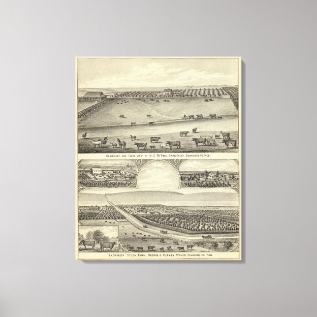 Lienzo Granjas del Condado de Saunders, Nebraska (Anverso)