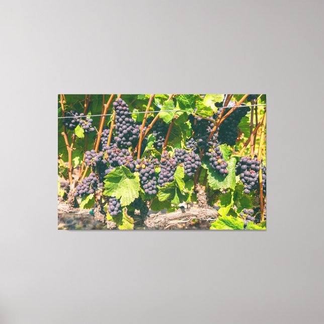 Lienzo Grapevines (Anverso)