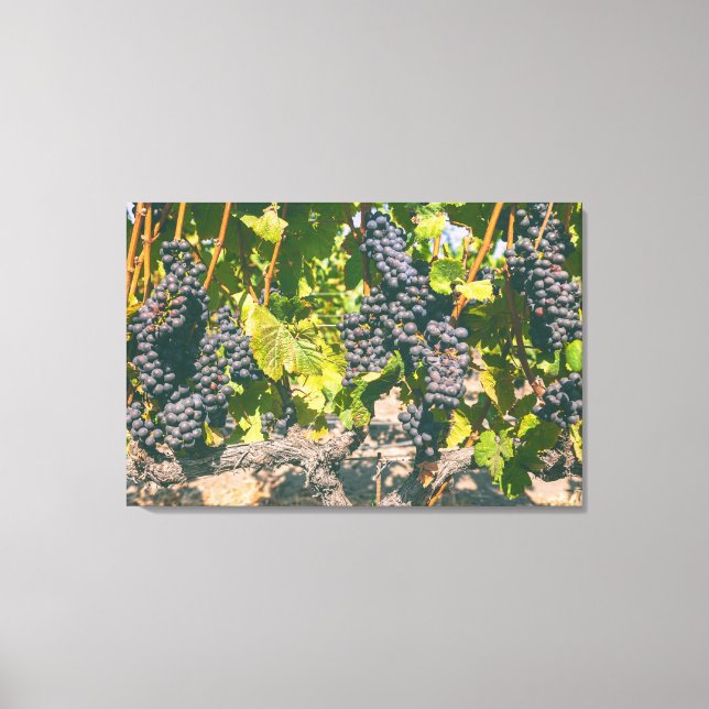 Lienzo Grapevines (Anverso)