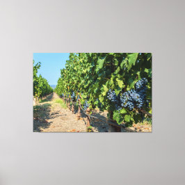 Lienzo Grapevines